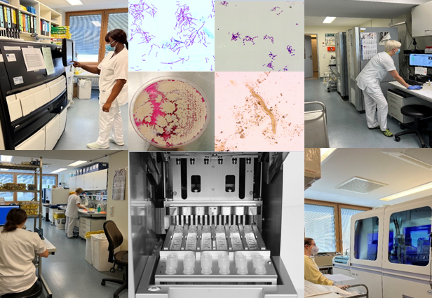 Medizinischer Technologe (m/w/d) für Laboratoriumsanalytik für die Mikrobiologie, 1. Bild